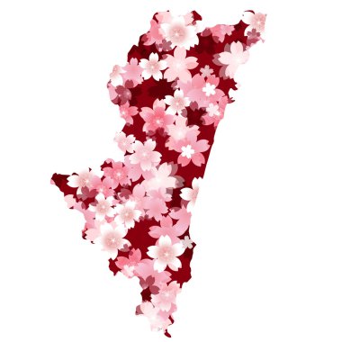 Miyazaki　spring cherry blossoms